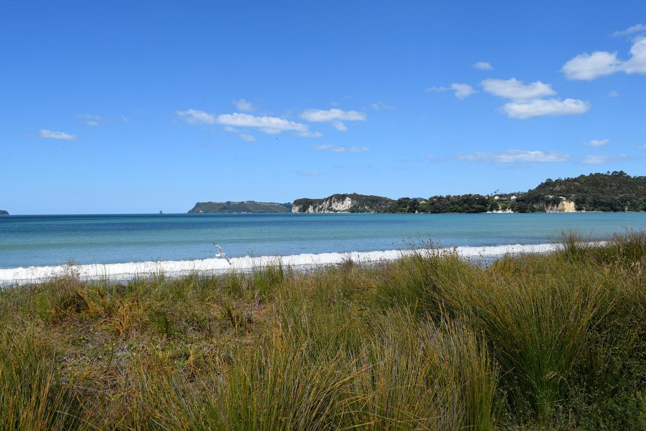 Paradise In Whitianga B&B Wells Place Eksteriør bilde